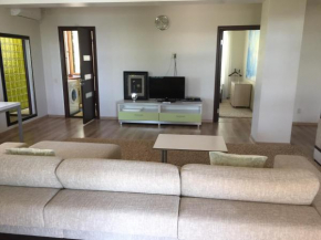 Гостиница Svetlana Guest House  Новый Афон